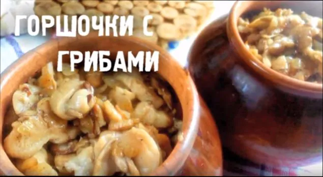 mjaso-v-gorshochkah-klassicheskie-recepty-s-kartoshkoj-prigotovlennye-v-duhovke