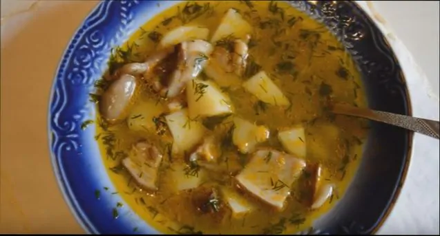 Грибной суп: рецепты супа