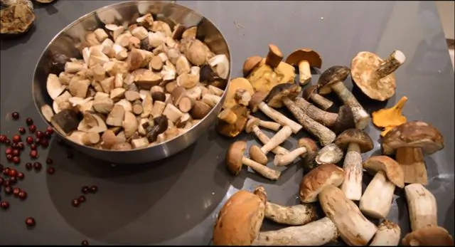 грибы на зиму — важные правила заготовки