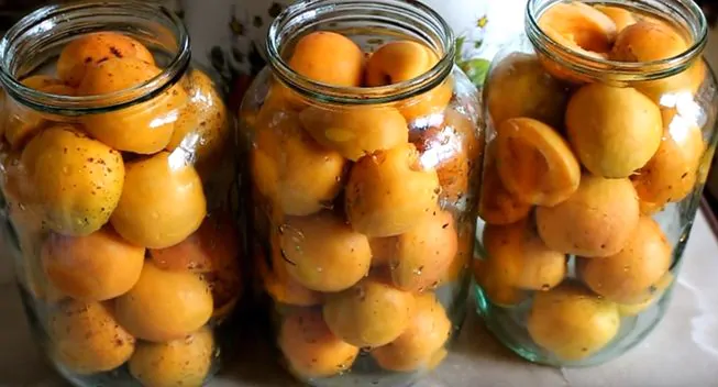 Основные правила получения насыщенного и ароматного абрикосового компота