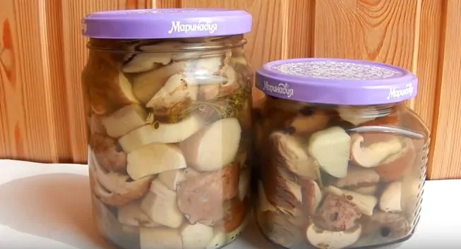 грибы маринованные на зиму - 7 лучших рецептов приготовления