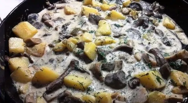 Рецепт жареной картошки с лисичками в сметане