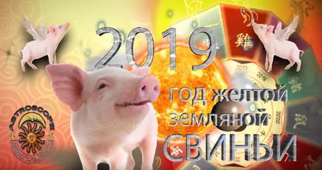 Гороскоп на новый 2019 год по году рождения и знакам зодиака