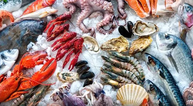 Морская рыба и морепродукты для похудения