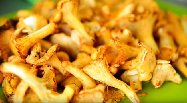 Рецепты с грибами лисичками вкусные блюда из лесных грибов