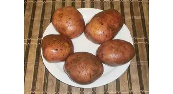 картошка с тушёнкой - рецепт